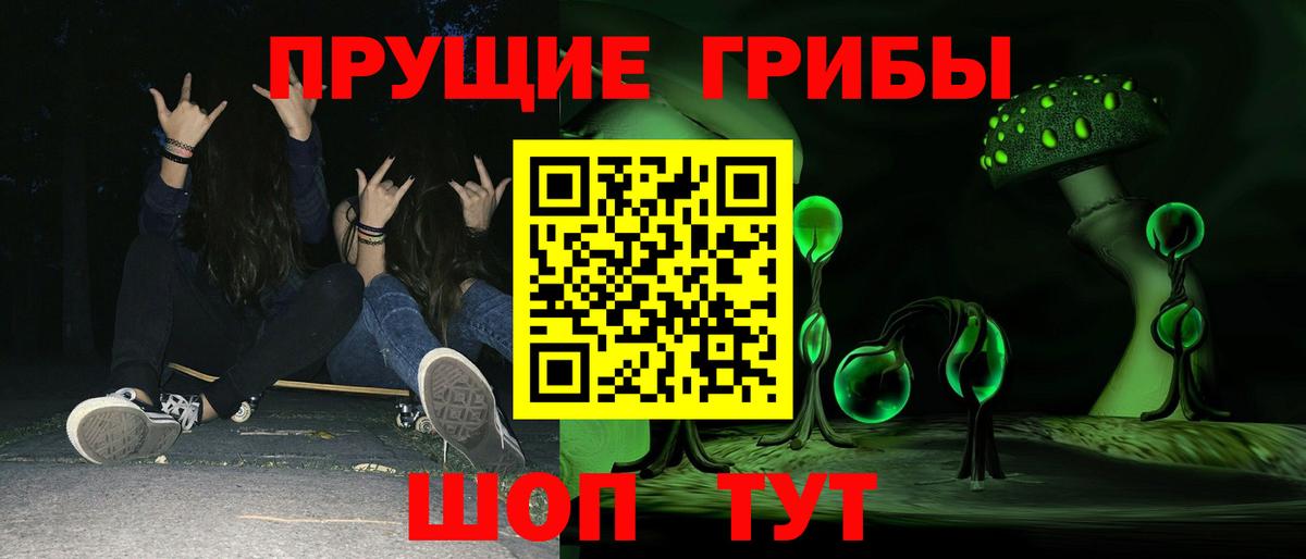 Хасавюрт  закладки  Псилоцибиновые грибы прущие грибы  Вход с VPN  Псилоцибиновые грибы мицелий 